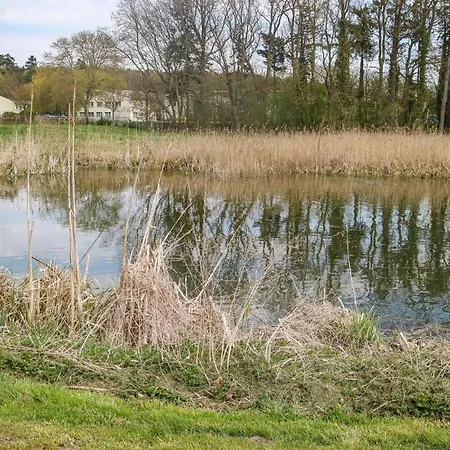 Gorgeous In Krakow Am